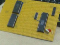 10092011116.jpg