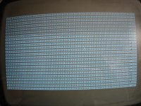 IMG_9305.jpg