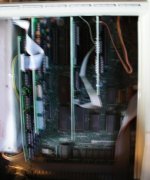 AppleInside3.jpg