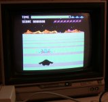 C 128 VideoGamePlaying.jpeg
