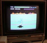 C 128 VideogamePlaying2.jpeg