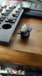 20200910_184606_001.jpg