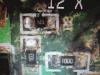 DSC00754.gif