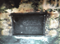 DSC00749.gif
