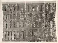 IMG_8380_medium.jpg