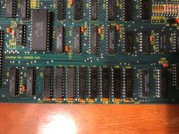 IMG_8367_medium.jpg