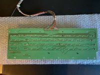 IMG_65531.jpg