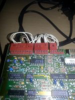 IMG_20120630_124137.jpg