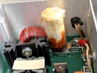 Albert_capacitor (Small).jpg