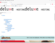 deluxehosting 4-28-2022.png