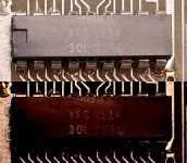 ram highlighted.jpg