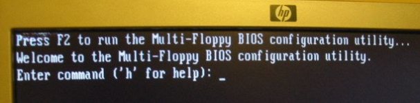 FloppyBios.jpg