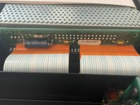IMG_0982.JPEG