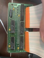 IMG_0983.JPEG