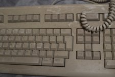 DSC_1040.JPG