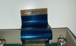 IMG_3824.jpg