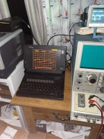 IMG_1339.jpeg