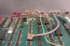 07 switches.jpg