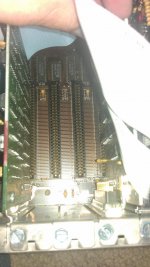 IMAG0152.jpg