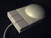 735-mouse.jpg