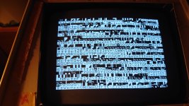 DSC_1064.JPG