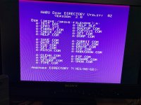 dir_a (Medium).JPG