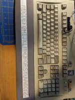 PXL_20211127_003350792.jpg