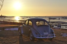 Bug sunrise.jpg