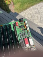 IMG_0206.jpeg