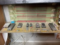 IMG_0100.jpeg