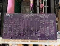 IMG_3387.jpeg