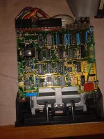 IMG_20230720_212417005.jpg