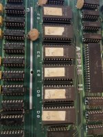 IMG_2242.jpeg
