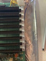 IMG_2244.jpeg