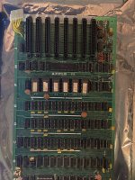 IMG_2245.jpeg