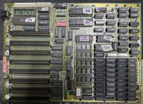 IMG_1672.jpeg