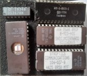 baychips 20230929_185802.jpg