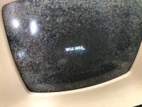 IMG_5245.jpeg