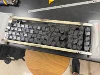 IMG_1791-modified.JPG