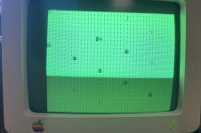 IMG_5503.jpeg