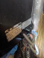 PXL_20231126_215639688.MP.jpg