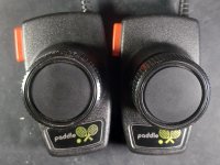 pong paddles 20231205_081655.jpg