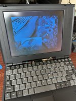 IMG_6739.jpeg