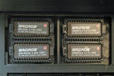 DSC_7581grid-rom (Large).jpg