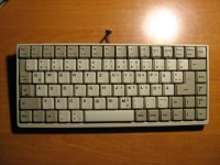 IMG_0981.JPG