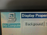 IMG_7043.jpeg