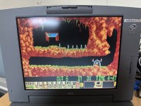 IMG_7045.jpeg