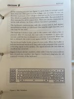 IMG_2998.jpeg