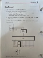 IMG_2997.jpeg