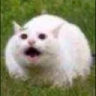 ZachyCatGames